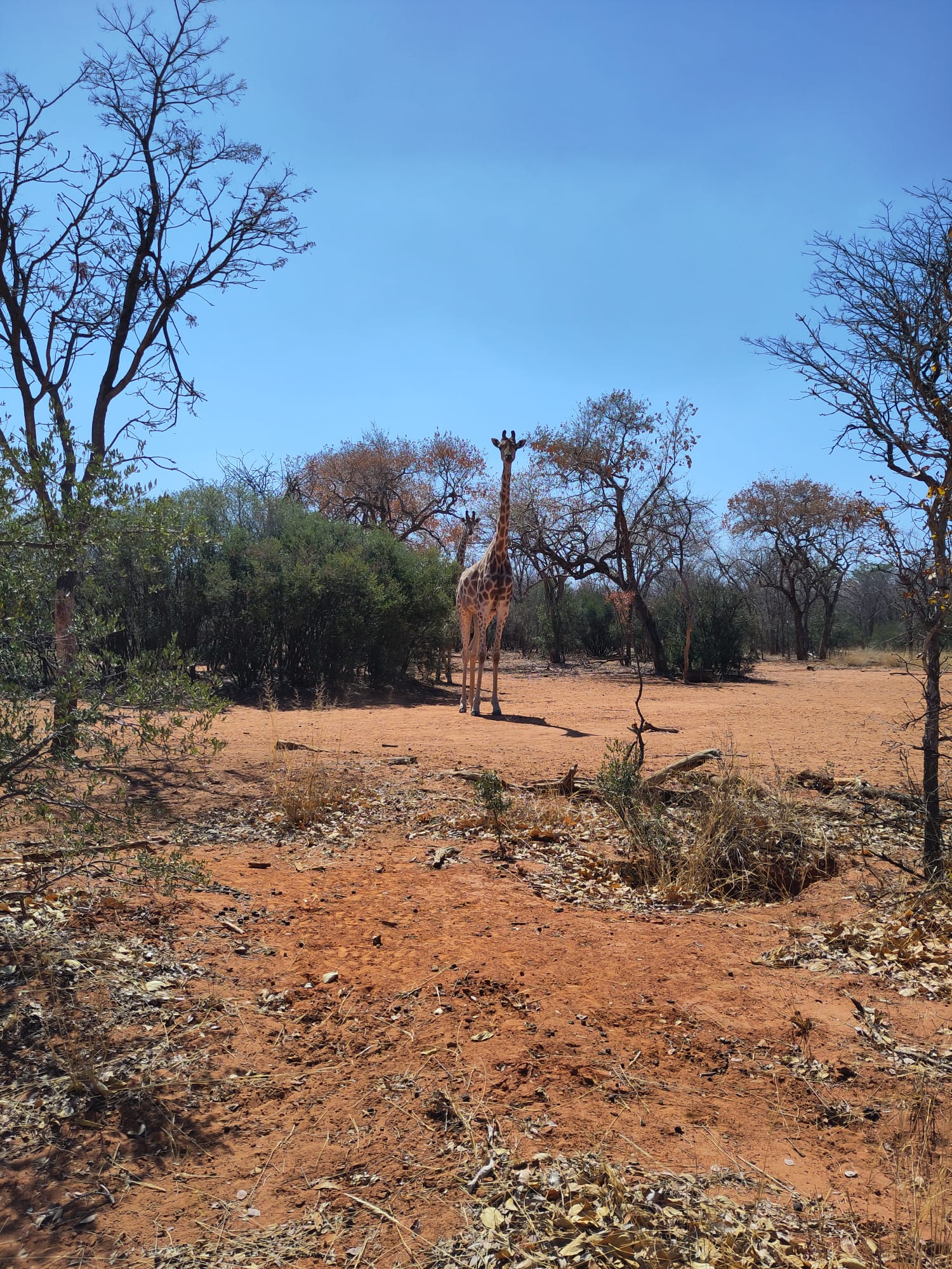 Research Stay South Africa